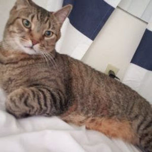 Meet your Posher, Alexander